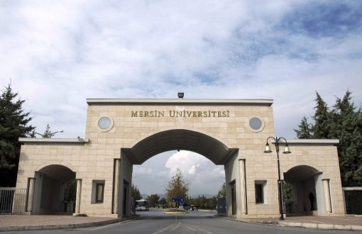 Mersin Üniversitesine iki yeni fakülte kurulacak