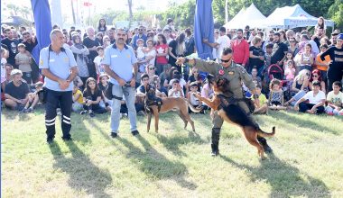 BÜYÜKŞEHİR BELEDİYESİ’NDEN HAYVANLARA ÖZEL FESTİVAL