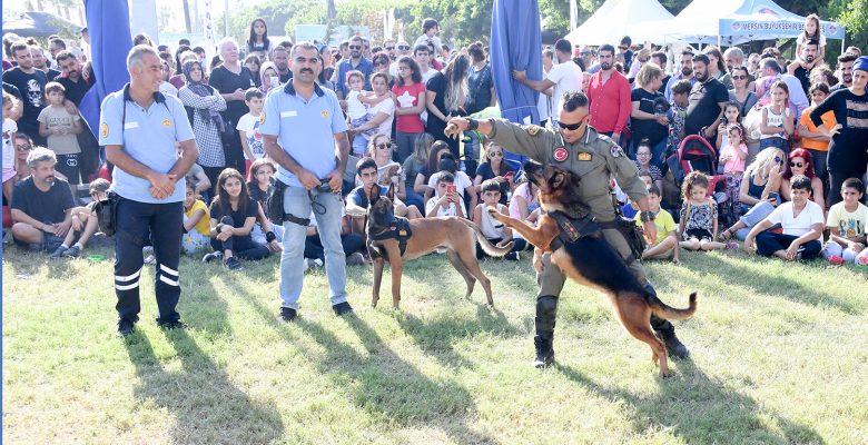 BÜYÜKŞEHİR BELEDİYESİ’NDEN HAYVANLARA ÖZEL FESTİVAL