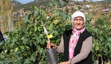 BÜYÜKŞEHİR’DEN KIRSAL KALKINMAYA DESTEK