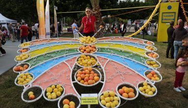 Mezitli Belediyesi Festivalde dikkat çekti