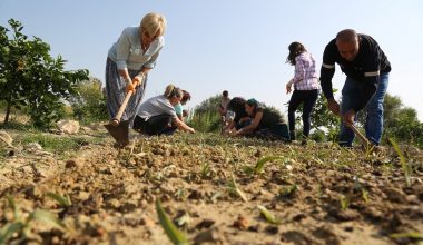 Mezitlili kadınlar salep üretecek