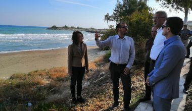 Kaplumbağalar için hukuk mücadelesi