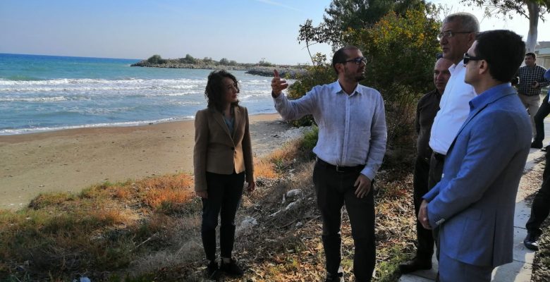 Kaplumbağalar için hukuk mücadelesi