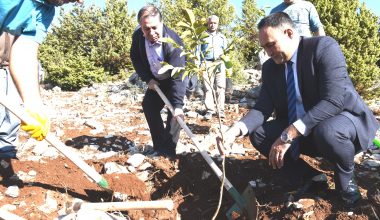 TOROSLAR’DA 450 ADET FİDAN TOPRAKLA BULUŞTU