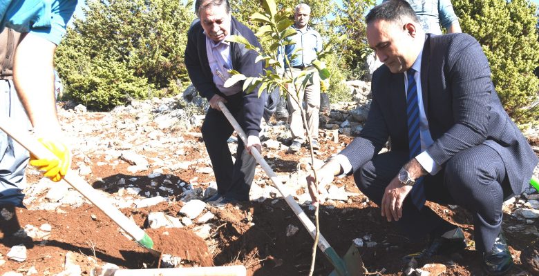 TOROSLAR’DA 450 ADET FİDAN TOPRAKLA BULUŞTU