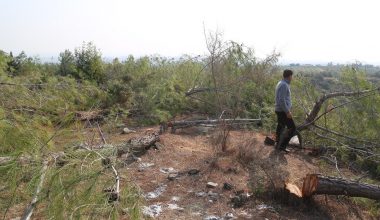 ‘ÖRGÜTLÜ BİR KATLİAM YAPILDI’