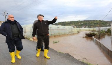 Tollu: “500 kişilik ekiple çalıştık”