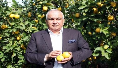 Başkan Tollu: “Limon tüketin, hastalıklardan korunun!”