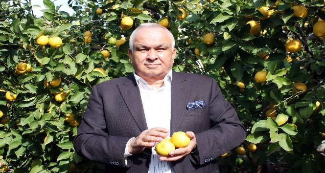 Başkan Tollu: “Limon tüketin, hastalıklardan korunun!”