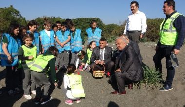 Sahile nesli tehlikede olan kum zambağı ekildi