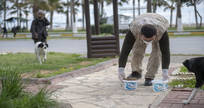 Mersin’de sokak hayvanları için birçok noktaya mama bırakılıyor