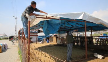 Tırmıl hayvan pazarı kaldırıldı