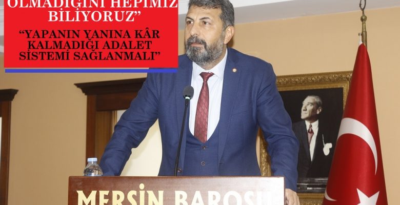 Orman katliamını tek kişinin yapmadığı ortaya çıktı