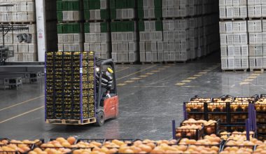 Ankara ve Çanakkale de limon istiyor