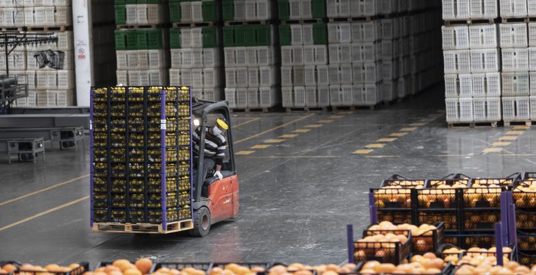 Ankara ve Çanakkale de limon istiyor