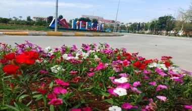 Mersin’de cadde ve sokaklar yaz çiçekleriyle renklendi