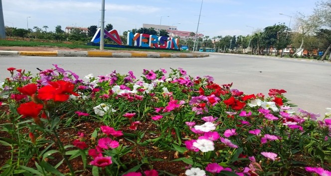 Mersin’de cadde ve sokaklar yaz çiçekleriyle renklendi
