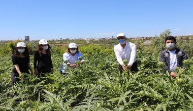 “Korana virüs ile tarımın önemi daha iyi anlaşıldı”