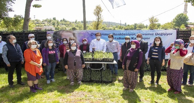 Mersin’de 100 bin lavanta fidesi dağıtıldı
