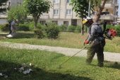 Akdeniz’de park ve bahçelere bakım çalışması yapıldı