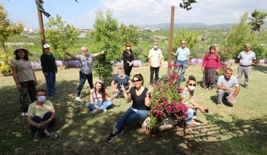 Enginar Tarlasında Hareketlilik Haftası Coşkusu