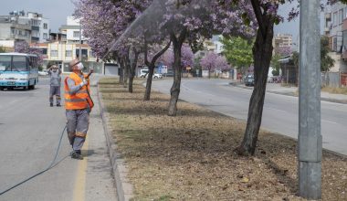 Larvalar kaynağında yok ediliyor