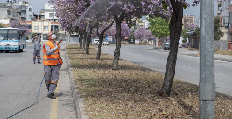 Larvalar kaynağında yok ediliyor