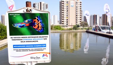 MERSİN’DE SİNEKLE MÜCADELEDE BİYOLOJİK YÖNTEM BAŞLIYOR