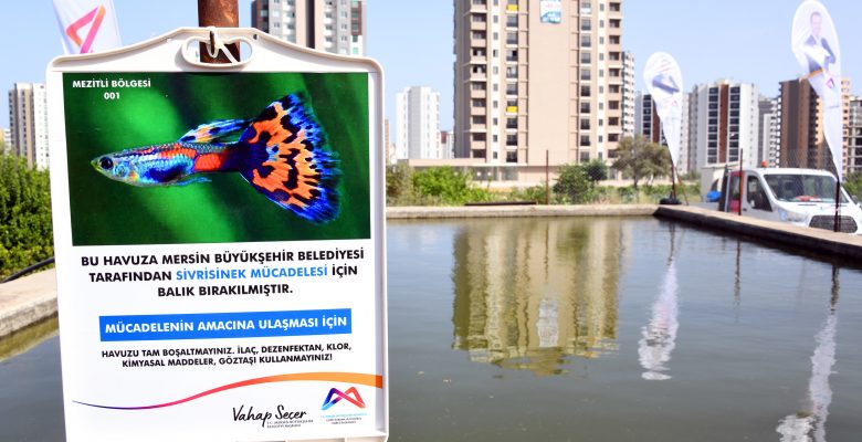 MERSİN’DE SİNEKLE MÜCADELEDE BİYOLOJİK YÖNTEM BAŞLIYOR