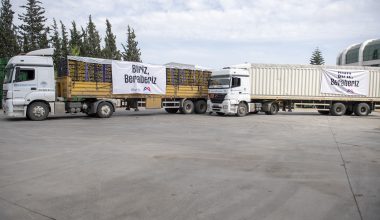 Mersin’in Limonları Bu Kez De Başkent İçin Yola Çıktı