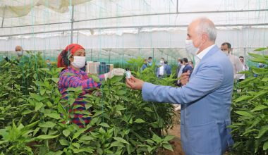 Gültak, 1 Mayıs’ta, Seralarda Çalışan Tarım İşçilerini Ziyaret Etti