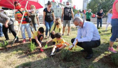 Çevre Gününde fidan diktiler