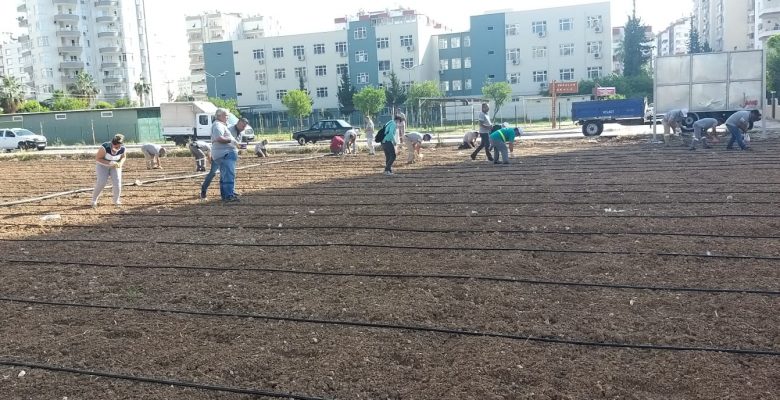 BOŞ ARSALAR TARIMSAL ÜRETİMDE KULLANILACAK