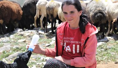 BÜYÜKŞEHİR, GÖÇ EDEN YÖRÜKLERİN YOLLARINI AÇTI