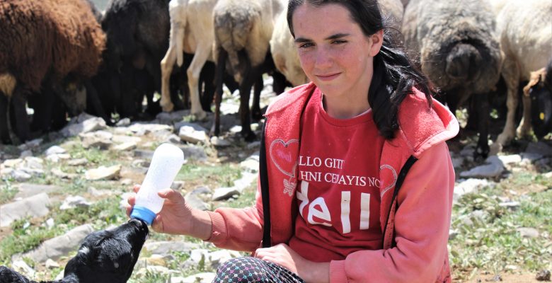BÜYÜKŞEHİR, GÖÇ EDEN YÖRÜKLERİN YOLLARINI AÇTI