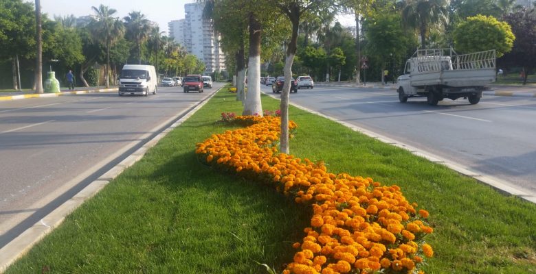 Büyükşehir’den park, bahçe ve refüjlere bakım