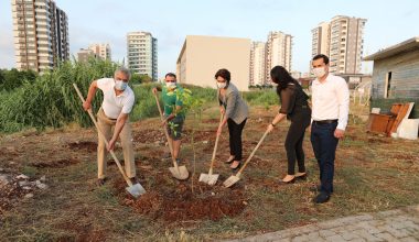 Mezitli Belediyesi Güneş Günü Etkinliği Düzenledi