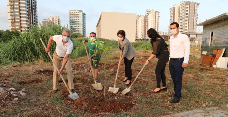 Mezitli Belediyesi Güneş Günü Etkinliği Düzenledi