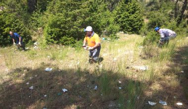 TOROSLAR’DA MESİRE ALANLARI TEMİZLENİYOR