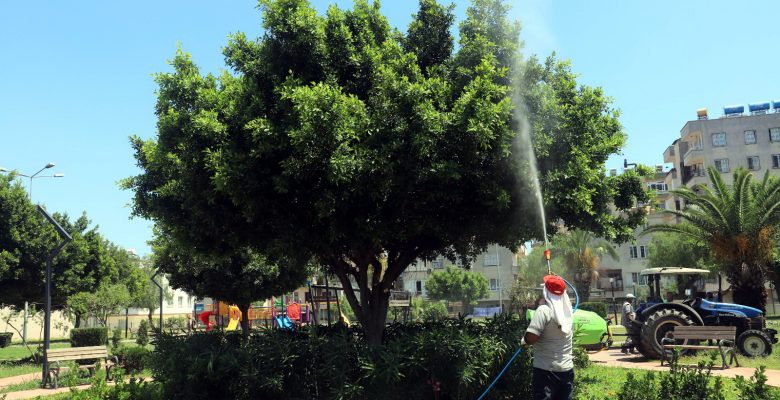 Akdeniz de park ve yeşil alanlara yönelik bakım ve ilaçlama