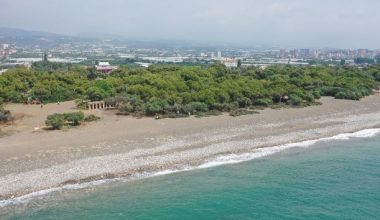 Başkan Tollu, Erdemli Çamlığında çalışmalara başladı