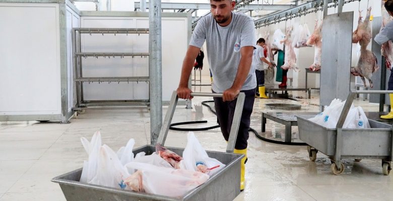 13 İLÇEDE 24 MOBİL KESİM ÜNİTESİ, 8 MEZBAHA HİZMET VERECEK