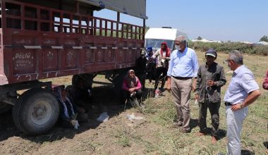 MESİAD ÇUKUROVA BÖLGESİNDEKİ TURİZM VE ÜRETİM ALANLARINI İNCELEDİ