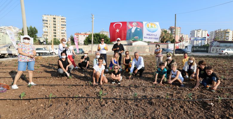 Şehir manzaralı biberiye ve sebze tarlası