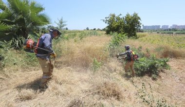 ARATOS’UN ANIT MEZARI İÇİN KAZI ÇALIŞMALARI BAŞLIYOR