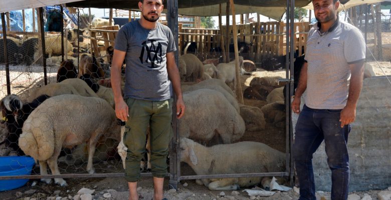 Yenişehir’de kurbanlık satış alanında pandemi önlemleri
