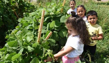 Şehrin Merkezinde Doğayla İç İçe Eğitim