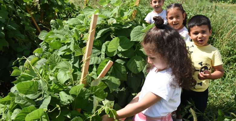 Şehrin Merkezinde Doğayla İç İçe Eğitim