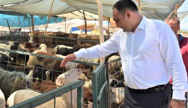 Toroslar Belediyesi, Bayram öncesi hazırlıklarını tamamladı